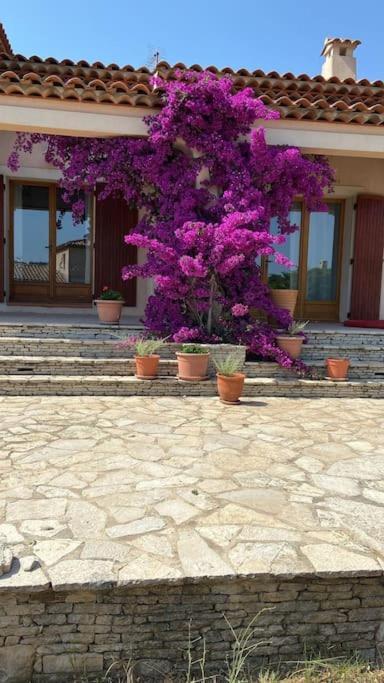 Villa Avec Jardin Au Calme A 7 Min De Cassis Рокфор-ла-Бедуль Экстерьер фото